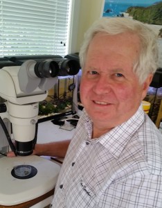 Rod at microscope